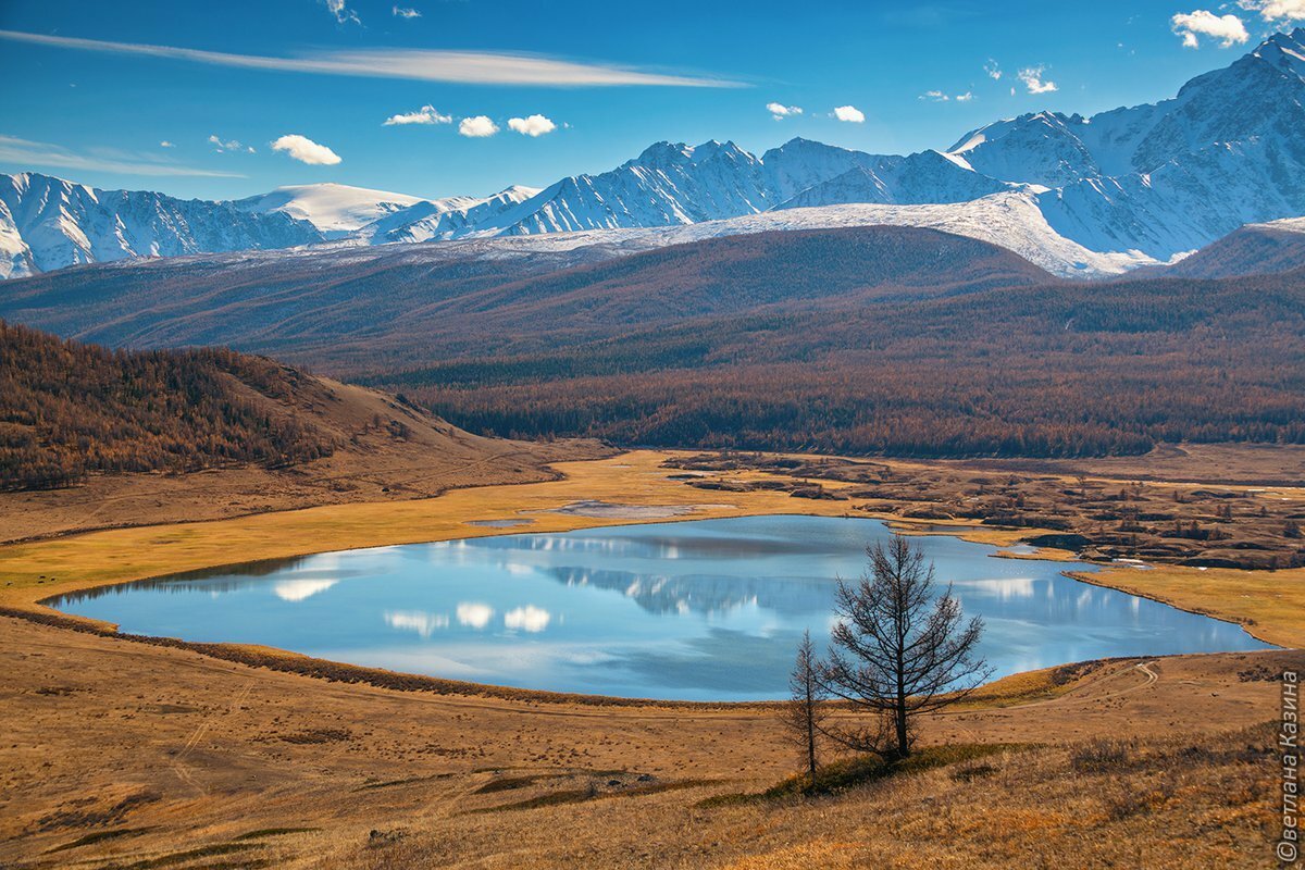 Открытое озеро. Горный Алтай оз Джангысколь. Озеро Джангысколь Алтай. Ештыкель озеро горный Алтай. Курай озеро Джангысколь.